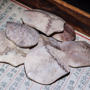 【老房拆迁】保真天然三界牌鹿头骨天灵盖吊坠牌挂饰星月凤眼金刚