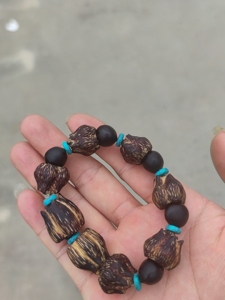 淘宝鱼尾葵种子,鲜果,干果,果核坚硬纹路漂亮,可以加工成手串,也0人