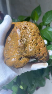 广西南流江玉 玉化牛筋石籽料原石  约800克 适合做手把件