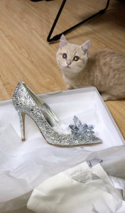 jimmychoo水晶鞋辛德瑞拉系列 海外代购 仅试穿但是实