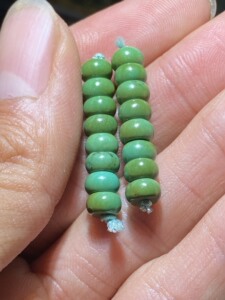 绿松石军绿高瓷隔片 尺寸6×3㎜ 青黄料老军绿隔片 8颗一组