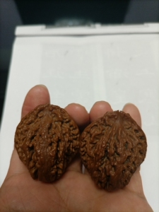 名称:蚂蚁纹楸子,文玩核桃,秋子,楸子,野生,文玩,二手.三