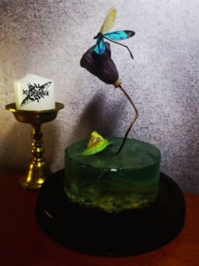 (已售仅展示)华艳色蟌玻璃生态瓶造景标本 昆虫标本 艺术收藏