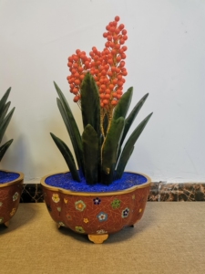 景泰蓝碧玉珊瑚万年青盆景