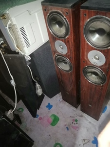 派特音箱,美国牌子!音质杠杠滴!侧面带低音的!便宜处理!