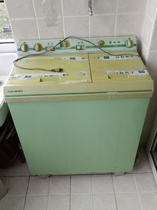 金鱼双缸洗衣机