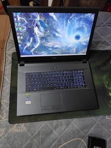 17寸i5十代6核心2060神舟战神gx8游戏笔记本电脑