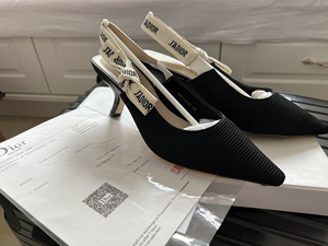 dior19款 字母 猫跟鞋 科技面料