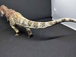 60pnso旗舰店天猫pnso霸王龙威尔逊恐龙博物馆1比35科学艺术模型28