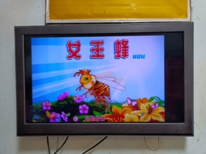 街机基板电玩设备街机游戏机,游戏节目板女王蜂处理,发货前试好