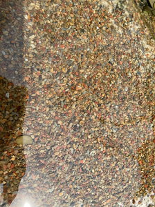 5斤天然造景石原生缸底砂溪流沙底沙河沙虾虎鱼鱼缸沙子溪流缸沙