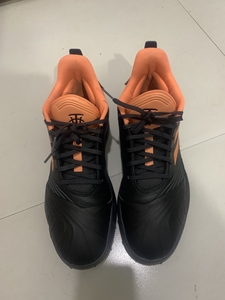 阿迪达斯麦迪篮球鞋46码,正品,新旧看图,鞋子保养的不错,有