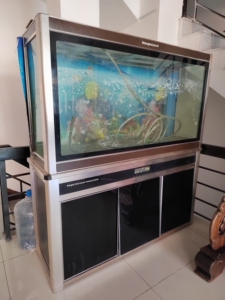 上海雅彩鱼缸,长150,宽50,高163,中间门需要买个合页