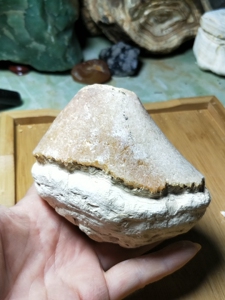 【白皮玛瑙原石】白皮玛瑙原石品牌,价格 - 阿里巴巴