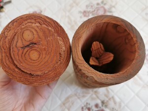 斯里兰卡五层龙