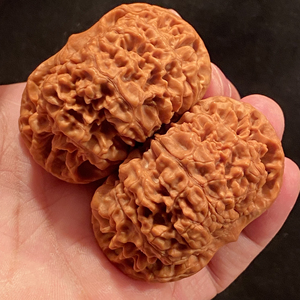 【文玩核桃】53打底矮桩闷尖麒麟纹王勇大官帽精品对