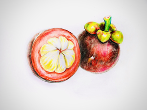 彩铅山竹:这是热带水果山竹,有自己的独有特征.果肉鲜嫩,水果