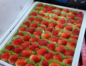 云成一品奶油草莓一件3斤(泡沫箱),全是大果,88元一件,新