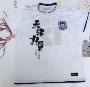 盼装百货店淘宝2021卡尔美中超天津津门虎队训练队服天津泰达球迷t