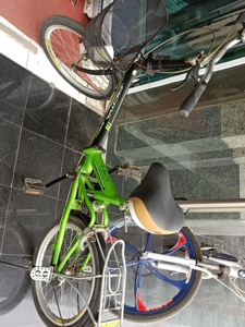七彩马折叠自行车