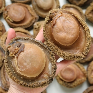 南非干鲍鱼一斤