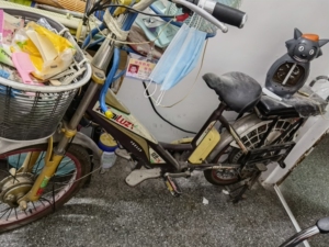 朗梦百货店22淘宝快鹿锂离子电池电动车自行车充电器24v36v48v10ah