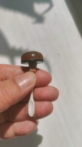 棕褐色老玛瑙鼻烟壶盖子,海外回流,下边残缺已经修复,顶部底边