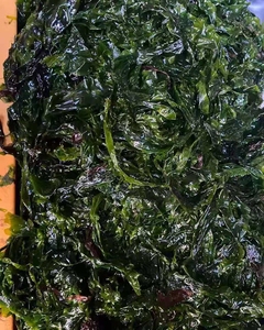 大连当地 海绿菜 海麻线 海紫菜 海菜包子