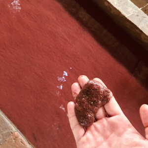 红线虫活水蚯蚓丝蚯蚓赤红线虫鱼食活线蛇观赏鱼饲料鱼饵红丝虫新