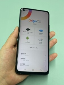 vivoz5x手机,6 128,高通骁龙710处理器,全网通_阿里巴巴找货神器