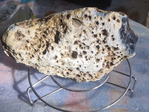 巴西玛瑙摆件一块,棕黑灰肉缠丝玛瑙,皮壳漂亮好似贝类化石一样