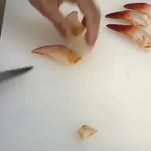 深海北极贝新鲜海鲜水产大号鲜活即食北极贝刺身生吃