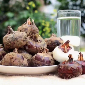 广东乐昌特产水果