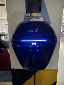 宝马原厂220v16a充电桩,奥地利生产不是现在国产代工的哦