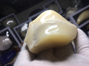 文玩 鹿骨 起逢赢令三界,三界绝品认证,三界牌,编号052