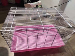 粉色47基础仓鼠笼,送浴室和水壶,八成新,用了一个星期,受不