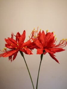 全部手工自制纸艺花,永生花,一个花瓣一个花瓣做的,非常耗时