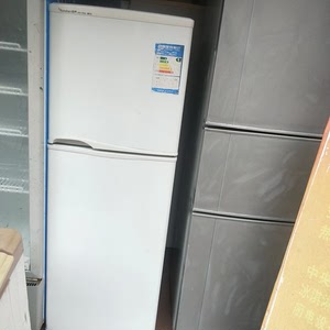 容声138升冰箱家用小型节能小冰箱宿舍租房用两门双门电冰箱