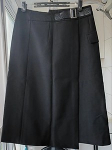 艾尚雪黑色裙子，仅穿过一次，中间竖条纹是长期叠放出来的，适合
