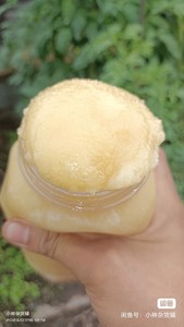 东北树桶蜂蜜 椴树蜜  就是在山里找的树桶放的养的蜜蜂采的蜜