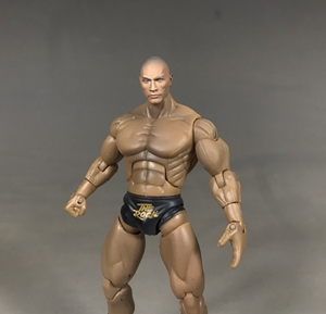 岩石强森wwe3.75寸1:18头雕涂装重涂完成品现货