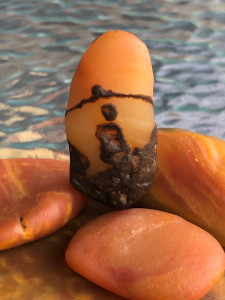 台山玉乌鸦皮冰质俏图籽20克