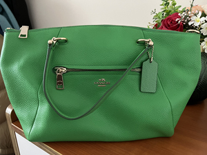 coach饺子包绿色