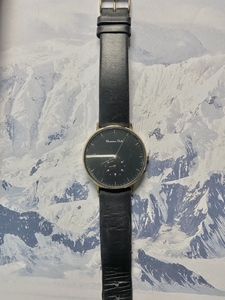 Zala高端品牌Massimo Dutti中性时装手表⌚