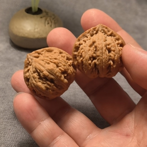 京八棱文玩核桃树苗猴头南瓜桩磨盘小核桃苗盆栽地栽当年结果1人付款