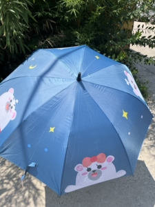 熊小美雨伞
