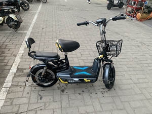 速派奇电动车,车况极品,续航二十公里,新轮胎,价格650