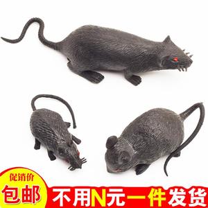 仿真大老鼠模型塑胶假老鼠玩具万圣节整蛊吓人假动物剧组拍摄道具
