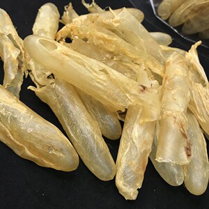 100头墨西哥黄花筒 黄花胶 鱼鳔 花胶 鱼胶鳕鱼胶成