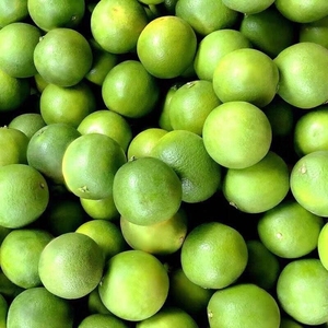 【酸甜多汁】新鲜青橙子10斤整箱批发薄皮绿橙应季水果非伦晚脐